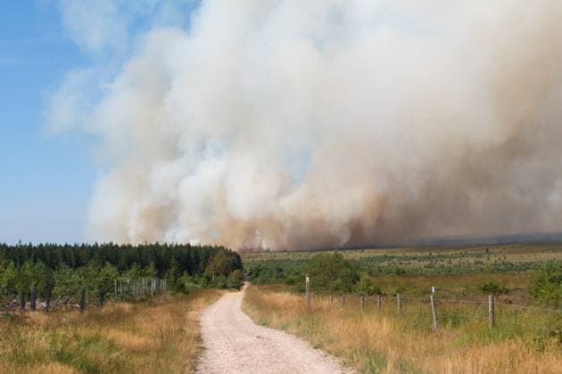 a fire rages in the Hautes Fagnes (High Fens) nature reserve, on Friday 14 August 2026 in Jalhay.  NICOLASxLAMBERT 183368916