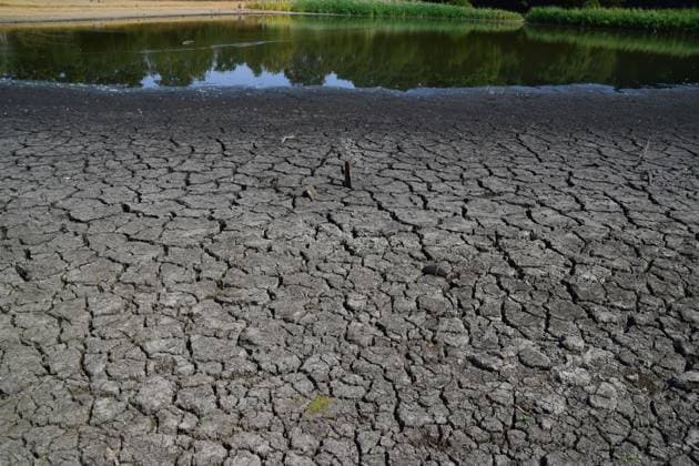 August 14, 2026, London, England, United Kingdom: A large section of a pond in Wanstead Park dries up as drought conditions and heatwaves persist in parts of the UK. London United Kingdom  - ZUMAv130 20260814_zip_v130_002 Copyright: xVukxValcicx