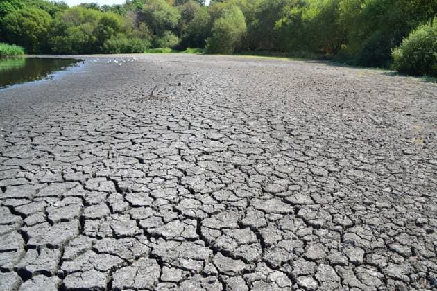 August 14, 2026, London, England, United Kingdom: A large section of a pond in Wanstead Park dries up as drought conditions and heatwaves persist in parts of the UK. London United Kingdom  - ZUMAv130 20260814_zip_v130_003 Copyright: xVukxValcicx