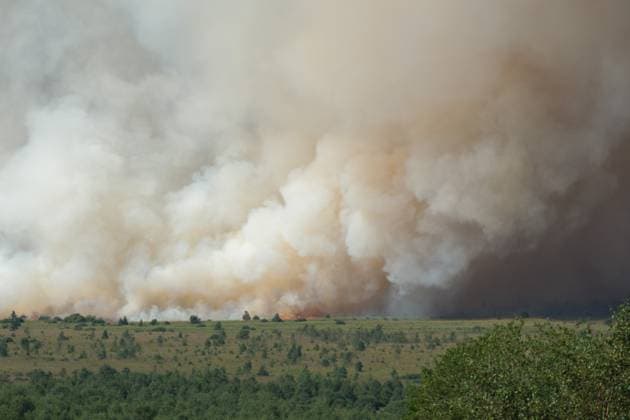 a fire rages in the Hautes Fagnes (High Fens) nature reserve, on Friday 14 August 2026 in Jalhay.  NICOLASxLAMBERT 183368921