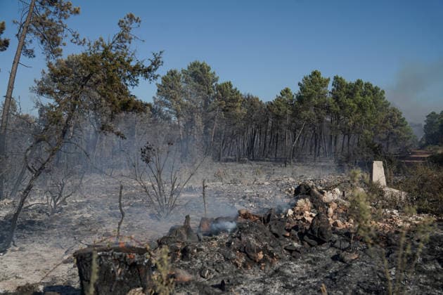 14.08.2026 - Europa, Kroatien, Ninski Stanovi: Großflächiger Vegetationsbrand zwischen Ninski Stanovi und Å½erava in der Gespanschaft Zadar. Zahlreiche Feuerwehrkräfte kämpfen gegen die Flammen. Ein Air Tractor und zwei Canadair sind zur Unterstützung der Löscharbeiten aus der Luft unterwegs. Starker Wind erschwert den Einsatz und begünstigt die Ausbreitung des Feuers. 14.08.2026 - Europa, Hrvatska, Ninski Stanovi: Veliki poÅ¾ar otvorenog prostora izmeÄ‘u Ninskih Stanova i Å½erave u Zadarskoj Å¾upaniji. Brojne vatrogasne snage bore se s vatrom. Air Tractor i Canadair upuÄ‡eni su na poÅ¾ariÅ¡te kako bi pomogli u gaÅ¡enju iz zraka. Jak vjetar oteÅ¾ava gaÅ¡enje i pogoduje Å¡irenju poÅ¾ara. *** August 14, 2026 Europe, Croatia, Ninsk Copyright: xLUKAxKOLANOVICx