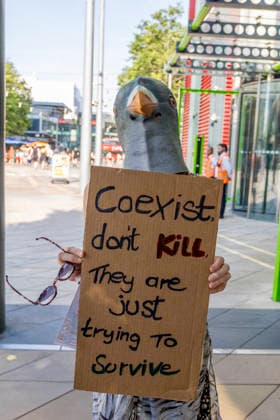 Protest Against TfL Pigeon Shooting Stratford, London, August 14, 2026 Animal rights activists and supporters gathered outside Transport for London™s headquarters in Stratford to protest against the shooting of pigeons at TfL sites. Demonstrators criticised the practice, which campaigners say is used to control pigeon numbers across London™s transport network, and called for non-lethal alternatives to be used instead., Credit:Zak Irfan Avalon  Copyright: xZakxIrfanx xAvalonx 1123030941
