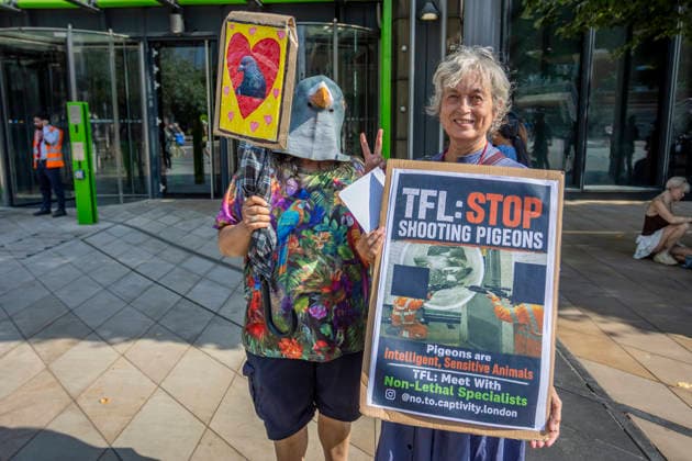 Protest Against TfL Pigeon Shooting Stratford, London, August 14, 2026 Animal rights activists and supporters gathered outside Transport for London™s headquarters in Stratford to protest against the shooting of pigeons at TfL sites. Demonstrators criticised the practice, which campaigners say is used to control pigeon numbers across London™s transport network, and called for non-lethal alternatives to be used instead., Credit:Zak Irfan Avalon  Copyright: xZakxIrfanx xAvalonx 1123031010
