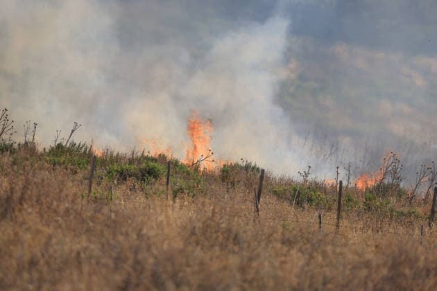IPA87478206 - In the photo, a massive fire has engulfed the Mirto Partinico area; forest rangers, firefighters, and two helicopters are on the scene.  Copyright: xAlbertoxLoxBiancox xAlbertoxLoxBiancox 87478206