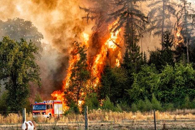 Waldbrand bei Sonsbeck Labbeck ** NUR FÜR REDAKTIONELLE ZWECKE ** EDITORIAL USE ONLY **<p>Eine Waldfläche brennt am 14.8.2026 Neben der Marienbaumer Straße in Lübeck. Die Feuerwehr ist mit vielen Kräften am Löschen Foto : Arnulf Stoffel Funke Foto Services < p> Buntes Deutschland NRW Sonsbeck Copyright: ArnulfxStoffel *** Forest Fire Near Sonsbeck Labbeck ** FOR EDITORIAL USE ONLY ** EDITORIAL USE ONLY ** p A forest area is on fire on August 14, 2026, next to Marienbaumer Straße in Lübeck. The fire department is on the scene with a large number of personnel to extinguish the blaze. Photo by Arnulf Stoffel, Funke Foto Services p Colorful Germany, North Rhine-Westphalia, Sonsbeck. Copyright ArnulfxStoffel Copyright: ArnulfxStoffel doc875rze897jpnzoakip0 ,EDITORIAL USE ONLY