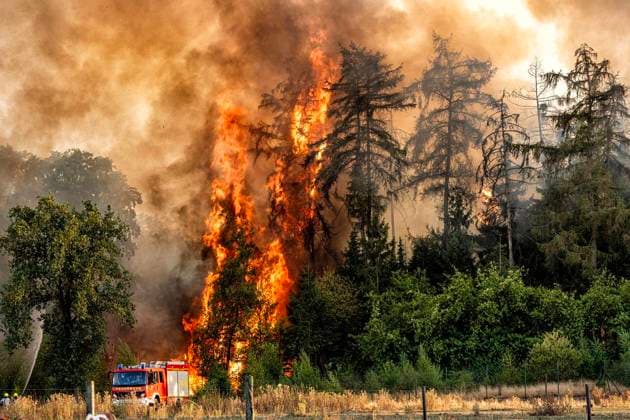 Waldbrand bei Sonsbeck Labbeck ** NUR FÜR REDAKTIONELLE ZWECKE ** EDITORIAL USE ONLY **<p>Eine Waldfläche brennt am 14.8.2026 Neben der Marienbaumer Straße in Lübeck. Die Feuerwehr ist mit vielen Kräften am Löschen Foto : Arnulf Stoffel Funke Foto Services < p> Buntes Deutschland NRW Sonsbeck Copyright: ArnulfxStoffel *** Forest Fire Near Sonsbeck Labbeck ** FOR EDITORIAL USE ONLY ** EDITORIAL USE ONLY ** p A forest area is on fire on August 14, 2026, next to Marienbaumer Straße in Lübeck. The fire department is on the scene with a large number of personnel to extinguish the blaze. Photo by Arnulf Stoffel, Funke Foto Services p Colorful Germany, North Rhine-Westphalia, Sonsbeck. Copyright ArnulfxStoffel Copyright: ArnulfxStoffel doc875rzefzh9lcwdael9y ,EDITORIAL USE ONLY
