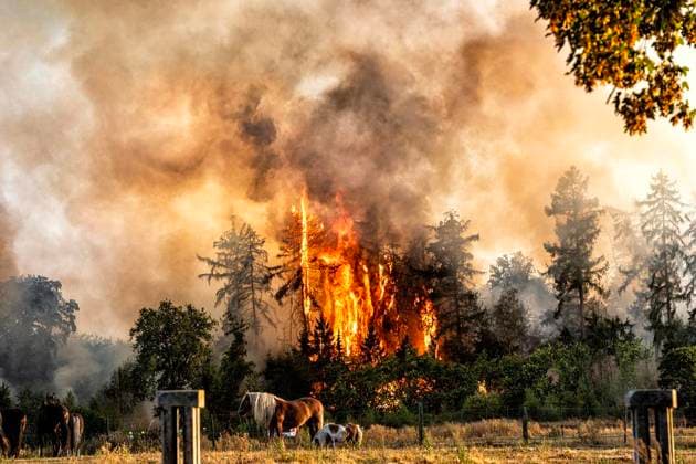 Waldbrand bei Sonsbeck Labbeck ** NUR FÜR REDAKTIONELLE ZWECKE ** EDITORIAL USE ONLY **<p>Eine Waldfläche brennt am 14.8.2026 Neben der Marienbaumer Straße in Lübeck. Die Feuerwehr ist mit vielen Kräften am Löschen Foto : Arnulf Stoffel Funke Foto Services < p> Buntes Deutschland NRW Sonsbeck Copyright: ArnulfxStoffel *** Forest Fire Near Sonsbeck Labbeck ** FOR EDITORIAL USE ONLY ** EDITORIAL USE ONLY ** p A forest area is on fire on August 14, 2026, next to Marienbaumer Straße in Lübeck. The fire department is on the scene with a large number of personnel to extinguish the blaze. Photo by Arnulf Stoffel, Funke Foto Services p Colorful Germany, North Rhine-Westphalia, Sonsbeck. Copyright ArnulfxStoffel Copyright: ArnulfxStoffel doc875rzgovlef9yodkl0k ,EDITORIAL USE ONLY