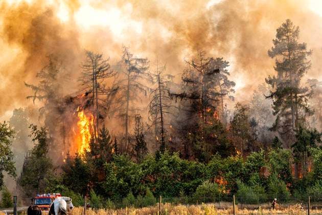 Waldbrand bei Sonsbeck Labbeck ** NUR FÜR REDAKTIONELLE ZWECKE ** EDITORIAL USE ONLY **<p>Eine Waldfläche brennt am 14.8.2026 Neben der Marienbaumer Straße in Lübeck. Die Feuerwehr ist mit vielen Kräften am Löschen Foto : Arnulf Stoffel Funke Foto Services < p> Buntes Deutschland NRW Sonsbeck Copyright: ArnulfxStoffel *** Forest Fire Near Sonsbeck Labbeck ** FOR EDITORIAL USE ONLY ** EDITORIAL USE ONLY ** p A forest area is on fire on August 14, 2026, next to Marienbaumer Straße in Lübeck. The fire department is on the scene with a large number of personnel to extinguish the blaze. Photo by Arnulf Stoffel, Funke Foto Services p Colorful Germany, North Rhine-Westphalia, Sonsbeck. Copyright ArnulfxStoffel Copyright: ArnulfxStoffel doc875rzhcg8wpzst8qov2 ,EDITORIAL USE ONLY