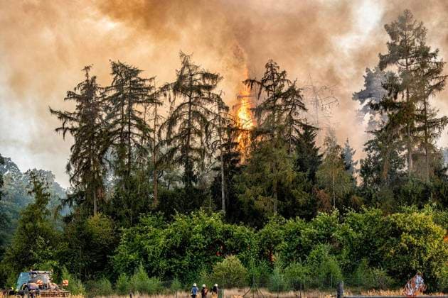 Waldbrand bei Sonsbeck Labbeck ** NUR FÜR REDAKTIONELLE ZWECKE ** EDITORIAL USE ONLY **<p>Eine Waldfläche brennt am 14.8.2026 Neben der Marienbaumer Straße in Lübeck. Die Feuerwehr ist mit vielen Kräften am Löschen Foto : Arnulf Stoffel Funke Foto Services < p> Buntes Deutschland NRW Sonsbeck Copyright: ArnulfxStoffel *** Forest Fire Near Sonsbeck Labbeck ** FOR EDITORIAL USE ONLY ** EDITORIAL USE ONLY ** p A forest area is on fire on August 14, 2026, next to Marienbaumer Straße in Lübeck. The fire department is on the scene with a large number of personnel to extinguish the blaze. Photo by Arnulf Stoffel, Funke Foto Services p Colorful Germany, North Rhine-Westphalia, Sonsbeck. Copyright ArnulfxStoffel Copyright: ArnulfxStoffel doc875rzd1ugeb19x3el96 ,EDITORIAL USE ONLY