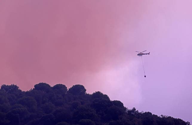 Forest Fire In The Upper Part Of Barcelona Firefighters deployed 10 fire engines and four helicopters and brought the fire under control after four hours of work in Barcelona, Spain, on August 14, 2026. More than 500 wildfires have been recorded in Catalonia this summer. One of the latest broke out in the Collserola mountain range, near a telecommunications tower overlooking Barcelona. The blaze burned 10 hectares and threatened populated areas, prompting authorities to order residents in Barcelona s upper neighborhoods to remain indoors Barcelona Barcelona Spain  Copyright: xUrbanandsportx originalFilename: urbanandsport-forestfi260814_npA83.jpg