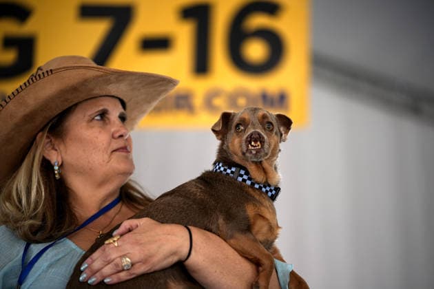Winners of World s Ugliest Dog 2026 contest in California SONOMA COUNTY, CALIFORNIA - AUG 14: Dog named Otto won the third place of the 2026 World s Ugliest Dog contest as his owner Melinda Berry was awarded $2,000 on August 14, 2026 at Sonoma County Event Center in Santa Rosa, California, United States. Tayfun Coskun Anadolu California United States. Editorial use only. Please get in touch for any other usage.  Copyright: x2026xAnadoluxTayfunxCoskunx