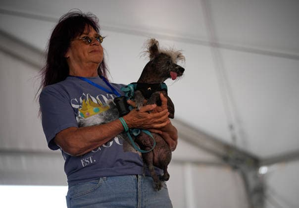 World s Ugliest Dog contest 2026 in California SONOMA COUNTY, CALIFORNIA - AUG 14: Dog named Scooter competes during World s Ugliest Dog contest 2026 at Sonoma County Event Center in Santa Rosa, California, United States on August 14, 2026. Tayfun Coskun Anadolu California United States. Editorial use only. Please get in touch for any other usage.  Copyright: x2026xAnadoluxTayfunxCoskunx