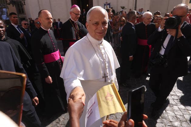 IPA87492679 - Vatican City - Italy, August 15, 2026: While greeting the faithful, a bee lands on the pope™s forehead. Pope Leo XIV presides over Mass for the Solemnity of the Assumption at the papal parish of St. Thomas of Villanova, in the town of Castelli Romani.  Copyright: xmarcoxiacobuccix xmarcoxiacobuccix 87492679