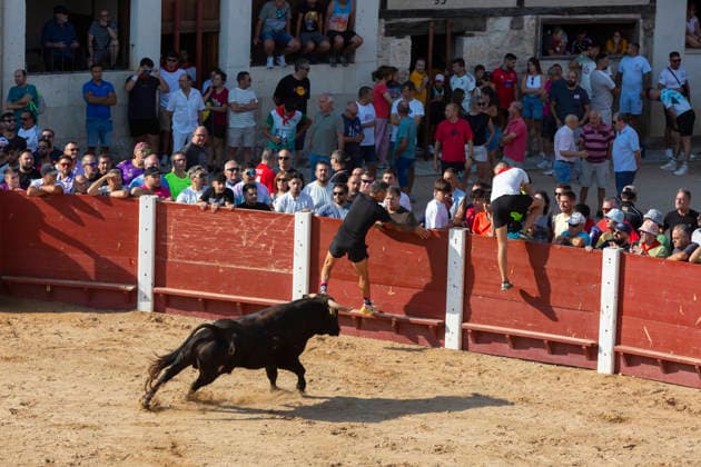 August 15, 2026, Penafiel, Valladolid, USA: A bull charges in the ring during the Capea Suelta de Novillos at the Fiestas de Nuestra Senora y San Roque in Penafiel, Spain on Saturday, August 15, 2026. The event allows amateurs to spend time with the younger bulls in the ring before the commencement of the formal bullfights later in the day. The annual festival, taking place this year on August 14-18, includes traditional processions, bullfighting and lively celebrations. Penafiel USA - ZUMAg235 20260815_zap_g235_012 Copyright: xPaulxChristianxGordonx