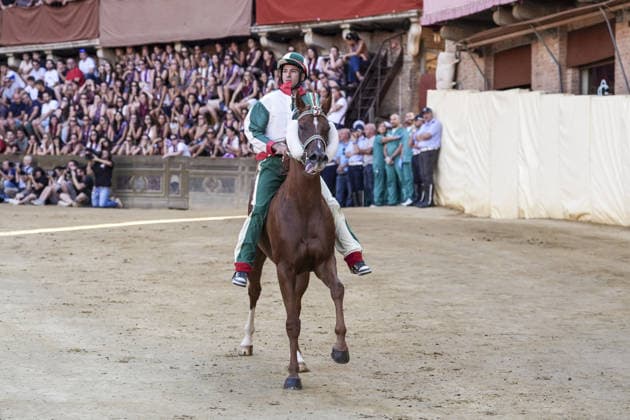 Costumed rehearsal the day before the August 2026 Palio di Siena Siena, Piazza del Campo August 15, 2026. The morning trial took place earlier today, featuring jockeys wearing the colors of the ten *Contrade* that will participate in the race on August 16. Siena Piazza Del Campo Toscana ITALIA Copyright: xSALVATORExDExROSAxSalvatorexDexRosax DSC01084