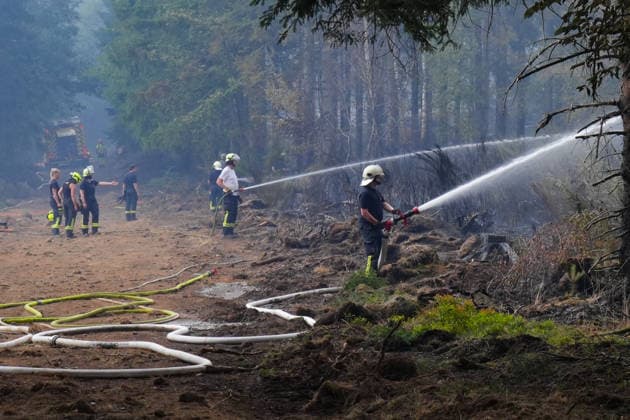 Loescharbeiten der Feuerwehr beim Waldbrand in Huertenwald Feuerwehrleute bei den Loescharbeiten in Gebeiten des Waldbrand in Huertgewald im Kreis Dueren. Die Feuerwehrmaenner und Feuerwehrfrauen loeschen letzte Glutnester am Boden und beweaessern die Flaechen, Huertgenwald, 15.08.2026 Huertgenwald NRW Deutschland *** Firefighters battling a wildfire in Huertgenwald Firefighters at the scene of the wildfire in Huertgenwald in the Düren district. The firefighters are extinguishing the last embers on the ground and dousing the area with water, Huertgenwald, August 15, 2026, Huertgenwald, North Rhine-Westphalia, Germany