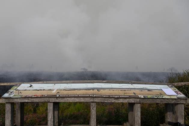Fire in the Belgian High Fens JALHAY, BELGIUM - AUGUST 15 : An important fire has broken out in the Belgian High Fens on August 15, 2026 in Jalhay, Belgium, 15 08 2026 Jalhay Belgium  Copyright: xDhax