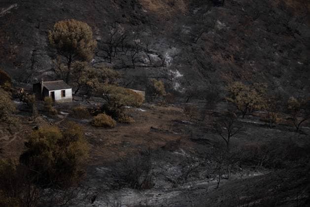 The Niebla Fire Leaves a Devastating Landscape in Berrocal, Huelva The Niebla Fire Leaves a Devastating Landscape in Berrocal, Huelva August 15, 2026, in Berrocal, Huelva, Andalusia, Spain The fire in Niebla, Huelva—which has burned more than 38,000 hectares after raging for over a week— has hit the municipality of Berrocal hard, where the flames have ravaged more than 90% of its municipal area, leaving a desolate landscape of charcoal and ashes. August 15, 2026, Berrocal, Huelva, Andalusia, Sp Berrocal, Huelva, Andalusia, Sp Spain  Copyright: xClaraxCarrascox 7715633