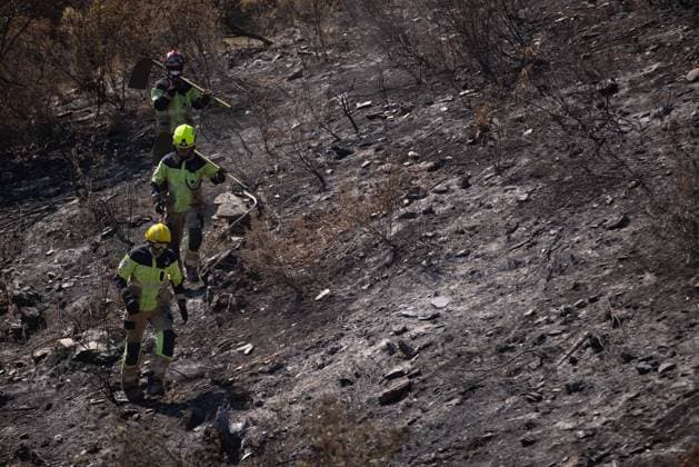 The Niebla Fire Leaves a Devastating Landscape in Berrocal, Huelva Firefighters are battling the Niebla fire in the municipality of Berrocal, Huelva August 15, 2026, in Berrocal, Huelva, Andalusia, Spain The Niebla, Huelva, fire—which has burned more than 38,000 hectares after raging for over a week— has hit the municipality of Berrocal hard, where the flames have ravaged more than 90% of its municipal area, leaving a desolate landscape of charcoal and ashes. August 15, 2026, Berrocal, Huelva, Andalusia, Sp Berrocal, Huelva, Andalusia, Sp Spain  Copyright: xClaraxCarrascox 7715642