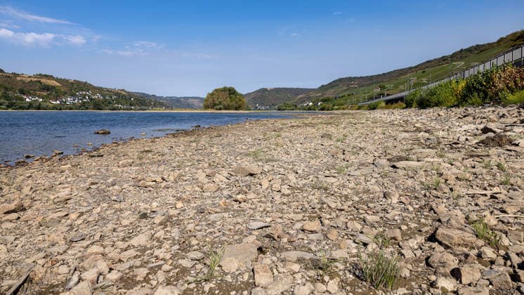 Niedrigwasser am Rhein nach langer Dürrephase, Lorch, 15.08.2026 Ein breiter, trockengefallener Uferstreifen aus Steinen und Geröll zieht sich entlang des des Rheintals. Weite Teile des sonst überfluteten Flussbetts liegen bei sommerlichem Wetter frei. Lorch Hessen Deutschland *** Low Water Levels on the Rhine Following a Long Drought, Lorch, August 15, 2026 A wide, dry strip of stones and gravel runs along the banks of the Rhine Valley. Large sections of the normally flooded riverbed are exposed in the summer weather. Lorch, Hesse, Germany 20260815-286A5593-M4000