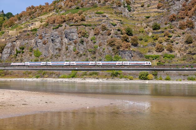 Niedrigwasser am Rhein nach langer Dürrephase, Kaub, 15.08.2026 Ein Intercity fährt entlang eines Flussufers mit deutlich freigelegten Sand- und Schlammbänken. Die schmale Wasserführung zeigt die Auswirkungen einer anhaltenden Trockenperiode, während der bewaldete Hang im Hintergrund erste herbstliche Verfärbungen zeigt. Kaub Rheinland-Pfalz Deutschland *** Low water levels on the Rhine following a prolonged drought, Kaub, August 15, 2026 An Intercity train travels along a riverbank with clearly exposed sand and mud banks. The narrow waterway illustrates the effects of a prolonged dry spell, while the forested slope in the background shows the first signs of autumnal color change. Kaub, Rhineland-Palatinate, Germany 20260815-286A5749-M4000