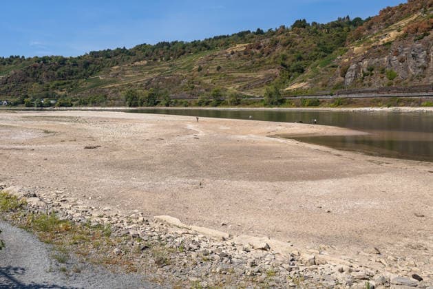 Niedrigwasser am Rhein nach langer Dürrephase, Kaub, 15.08.2026 Der Rhein führt nach langer Dürrephase extremes Niedrigwasser. Weite Sand- und Kiesbänke liegen trocken, vereinzelte Personen und Vögel bewegen sich über das freigelegte Flussbett. Kaub Rheinland-Pfalz Deutschland *** Low Water Levels on the Rhine After a Long Drought, Kaub, August 15, 2026 After a long drought, the Rhine is at extremely low water levels. Vast stretches of sand and gravel banks lie dry, and a few people and birds are moving across the exposed riverbed. Kaub, Rhineland-Palatinate, Germany 20260815-286A5770-M4000