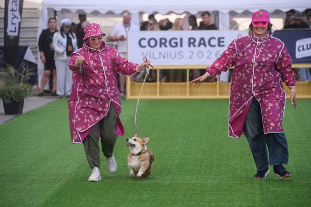 Corgi Race in Vilnius VILNIUS, LITHUANIA - AUGUST 15: Corgis and their owners gather at Vingis Park in Vilnius, Lithuania, on August 15, 2026, during the fifth annual Corgi Race Vilnius. Around 130 corgis from eight countries across Europe and the United States took part in the fifth annual Corgi Race Vilnius on Saturday, drawing thousands of spectators to Vingis Park as the Lithuanian capital again billed itself the European Corgi Capital . The event, which began during the pandemic as a friendly bet between two owners, now features sprint heats, a costume parade, a loudest-bark contest and new agility and run-return races. U.S. owners took first and second place in the main race, highlighting the growing international appeal of the fes  Copyright: x2026xAnadoluxYauhenxYerchakx