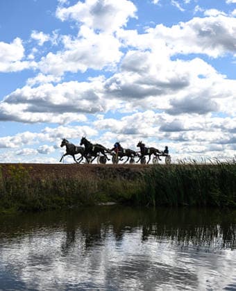 Russia Equestrian Orlov Trotter Festival 9222479 15.08.2026 Drivers guide horses during the Trotter Races for the Kaluga Region Agriculture Ministry s Prize, part of the Orlov Trotter Festival orlovfes, at the Tarusa Hippodrome in Kaluga region, Russia. Alexey Filippov Sputnik Kaluga region Russia  Copyright: xAlexeyxFilippovx