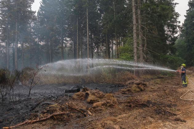 Loescharbeiten der Feuerwehr in Gebieten des Waldbrandes in Huertgewald (Hürtgenwald) im Kreis Dueren (Düren) (Foto vom 15.08.2026). Der Grossbrand in der Gemeinde in Huertgenwald hat sich in der Nacht zu Samstag nicht weiter ausgebreitet. 1.400 Einsatzkraefte sind im Einsatz. Der Brand war am Donnerstagabend in der Eifelgemeinde ausgebrochen und hatte sich am Freitag auf etwa 300 Hektar ausgebreitet, eine Flaeche fast so gross wie der Central Park in New York. Es ist der groesste jemals dokumentierte Waldbrand in Nordrhein-Westfalen. (Siehe epd-Bericht vom 15.08.2026) EDITORIAL USE ONLY *** Firefighters battling the wildfire in Huertgenwald, in the district of Düren. Photo taken on August 15, 2026. The major fire in the municipality of H Copyright: epd-bild GuidoxSchiefer epd-Grossbrand_Huertgenwald13-kopieren