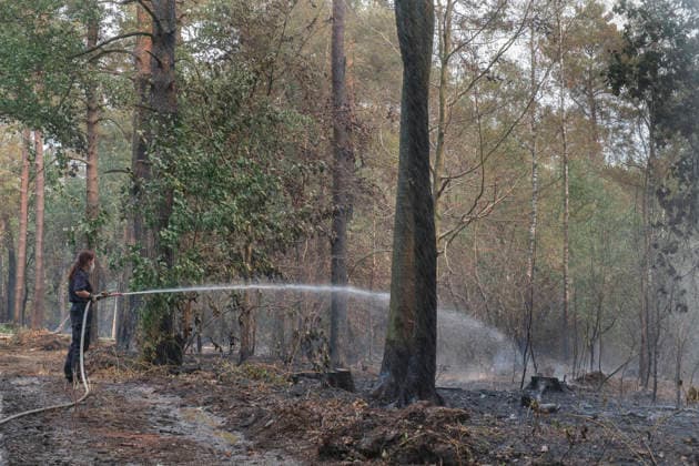 Loescharbeiten der Feuerwehr in Gebieten des Waldbrandes in Huertgewald (Hürtgenwald) im Kreis Dueren (Düren) (Foto vom 15.08.2026). Der Grossbrand in der Gemeinde in Huertgenwald hat sich in der Nacht zu Samstag nicht weiter ausgebreitet. 1.400 Einsatzkraefte sind im Einsatz. Der Brand war am Donnerstagabend in der Eifelgemeinde ausgebrochen und hatte sich am Freitag auf etwa 300 Hektar ausgebreitet, eine Flaeche fast so gross wie der Central Park in New York. Es ist der groesste jemals dokumentierte Waldbrand in Nordrhein-Westfalen. (Siehe epd-Bericht vom 15.08.2026) EDITORIAL USE ONLY *** Firefighters battling the wildfire in Huertgenwald, in the district of Düren. Photo taken on August 15, 2026. The major fire in the municipality of H Copyright: epd-bild GuidoxSchiefer 260815_Waldbrand_H__rtgenwald_17