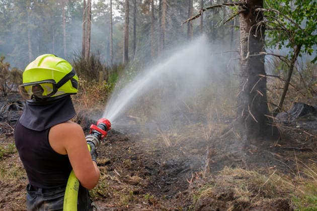 Loescharbeiten der Feuerwehr in Gebieten des Waldbrandes in Huertgewald (Hürtgenwald) im Kreis Dueren (Düren) (Foto vom 15.08.2026). Der Grossbrand in der Gemeinde in Huertgenwald hat sich in der Nacht zu Samstag nicht weiter ausgebreitet. 1.400 Einsatzkraefte sind im Einsatz. Der Brand war am Donnerstagabend in der Eifelgemeinde ausgebrochen und hatte sich am Freitag auf etwa 300 Hektar ausgebreitet, eine Flaeche fast so gross wie der Central Park in New York. Es ist der groesste jemals dokumentierte Waldbrand in Nordrhein-Westfalen. (Siehe epd-Bericht vom 15.08.2026) EDITORIAL USE ONLY *** Firefighters battling the wildfire in Huertgenwald, in the district of Düren. Photo taken on August 15, 2026. The major fire in the municipality of H Copyright: epd-bild GuidoxSchiefer 260815_Waldbrand_H__rtgenwald_22