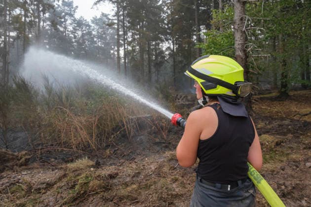 Loescharbeiten der Feuerwehr in Gebieten des Waldbrandes in Huertgewald (Hürtgenwald) im Kreis Dueren (Düren) (Foto vom 15.08.2026). Der Grossbrand in der Gemeinde in Huertgenwald hat sich in der Nacht zu Samstag nicht weiter ausgebreitet. 1.400 Einsatzkraefte sind im Einsatz. Der Brand war am Donnerstagabend in der Eifelgemeinde ausgebrochen und hatte sich am Freitag auf etwa 300 Hektar ausgebreitet, eine Flaeche fast so gross wie der Central Park in New York. Es ist der groesste jemals dokumentierte Waldbrand in Nordrhein-Westfalen. (Siehe epd-Bericht vom 15.08.2026) EDITORIAL USE ONLY *** Firefighters battling the wildfire in Huertgenwald, in the district of Düren. Photo taken on August 15, 2026. The major fire in the municipality of H Copyright: epd-bild GuidoxSchiefer 260815_Waldbrand_H__rtgenwald_26