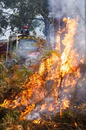 Luglon, Frankreich, 2026-08-16 10:00:25 Luglon, 16-08-2026, fire department burns off unburned vegetation to prevent it from causing a new fire. Photo: NLBeeld Robert Meerding Credit: NL Beeld Robert Meerding Inc  Copyright: xx x