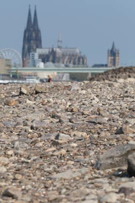 Eine Teleaufnahme zeigt die markante Kölner Stadtkulisse mit den modernen Kranhäusern im Rheinauhafen und den gotischen Türmen des Kölner Doms im Hintergrund. Im Vordergrund erstreckt sich das weitläufige, freigelegte Kiesel- und Steinufer des Rheins, das die Auswirkungen von extremem sommerlichem Niedrigwasser dokumentiert. *** A telephoto shot captures the prominent Cologne cityscape featuring the modern Kranhäuser buildings in the Rheinauhafen and the Gothic spires of the Cologne Cathedral in the background. In the foreground, the vast, exposed pebble and stone bank of the Rhine illustrates the impact of extreme summer low water levels. Next to the cathedral, the white Nordrhein-Westfalen Deutschland, Germany 20260816-DSCF2163
