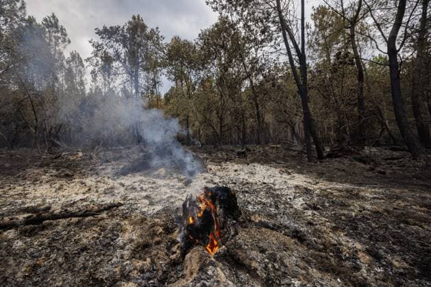 Luglon, The Netherlands, 2026-08-16 14:20:58 Luglon, 16-08-2026, a burning tree stump. Photo: NLBeeld Robert Meerding Credit: NL Beeld Robert Meerding Inc  Copyright: xx x