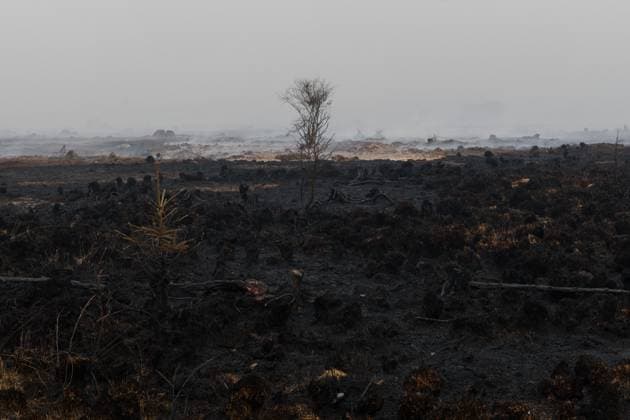 News Bilder des Tages A burned landscaped pictured as a fire rages in the Hautes Fagnes (High Fens) nature reserve, on Sunday 16 August 2026 in Waimes. The fire started on August 14th and 2700 hectares (on a total of 4500) are impacted.  NICOLASxLAMBERT 183533015