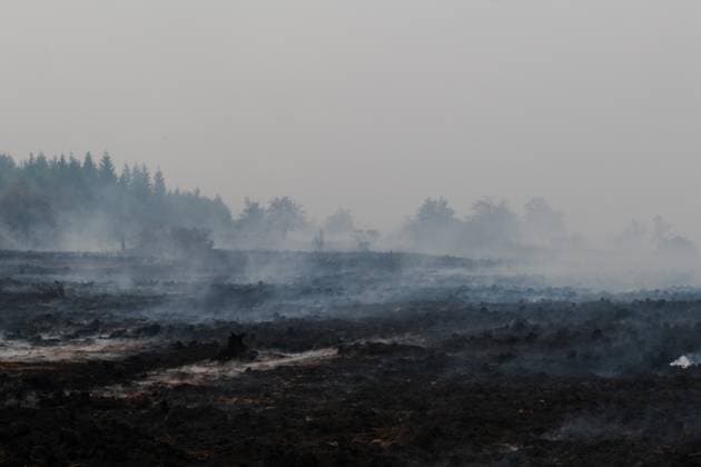 Emergency services pictured on the site, as a fire rages in the Hautes Fagnes (High Fens) nature reserve, on Sunday 16 August 2026 in Waimes. The fire started on August 14th and 2700 hectares (on a total of 4500) are impacted.  NICOLASxLAMBERT 183533029