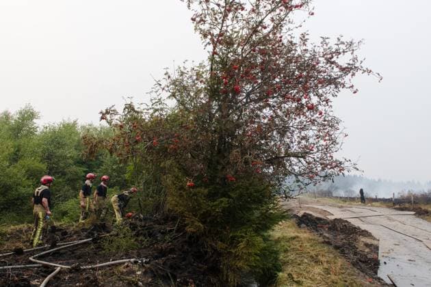 Firefighters in action on the scene of a fire rages in the Hautes Fagnes (High Fens) nature reserve, on Sunday 16 August 2026 in Waimes. The fire started on August 14th and 2700 hectares (on a total of 4500) are impacted.  NICOLASxLAMBERT 183533141