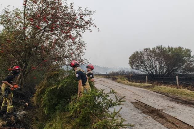 Firefighters in action on the scene of a fire rages in the Hautes Fagnes (High Fens) nature reserve, on Sunday 16 August 2026 in Waimes. The fire started on August 14th and 2700 hectares (on a total of 4500) are impacted.  NICOLASxLAMBERT 183533148