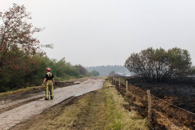 Firefighters in action on the scene of a fire rages in the Hautes Fagnes (High Fens) nature reserve, on Sunday 16 August 2026 in Waimes. The fire started on August 14th and 2700 hectares (on a total of 4500) are impacted.  NICOLASxLAMBERT 183533145