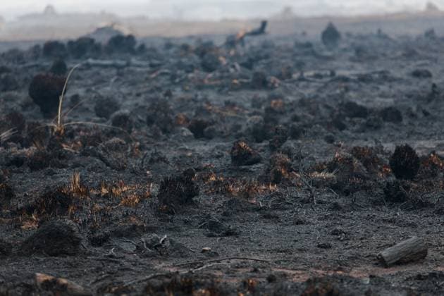 Firefighters in action on the scene of a fire rages in the Hautes Fagnes (High Fens) nature reserve, on Sunday 16 August 2026 in Waimes. The fire started on August 14th and 2700 hectares (on a total of 4500) are impacted.  NICOLASxLAMBERT 183534152