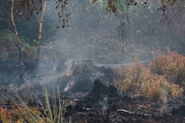 Firefighters in action on the scene of a fire rages in the Hautes Fagnes (High Fens) nature reserve, on Sunday 16 August 2026 in Waimes. The fire started on August 14th and 2700 hectares (on a total of 4500) are impacted.  NICOLASxLAMBERT 183534242
