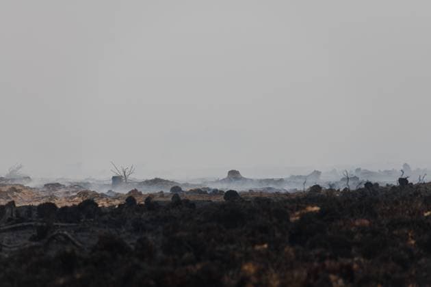 A burned out landscape pictured as a fire rages in the Hautes Fagnes (High Fens) nature reserve, on Sunday 16 August 2026 in Waimes. The fire started on August 14th and 2700 hectares (on a total of 4500) are impacted.  NICOLASxLAMBERT 183533890