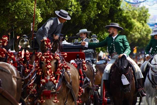 Scenes from the Málaga Fair: Horse-drawn carriages and horses parade through the Cortijo de Torres at the Málaga Fair. August 16, 2026, in Málaga, Andalusia, Spain. Locals and visitors enjoy the Málaga Fair at the fairgrounds. August 16, 2026, in Málaga, Andalusia, Málaga, Andalusia, Spain  Copyright: xÃlexxZeax 7716829