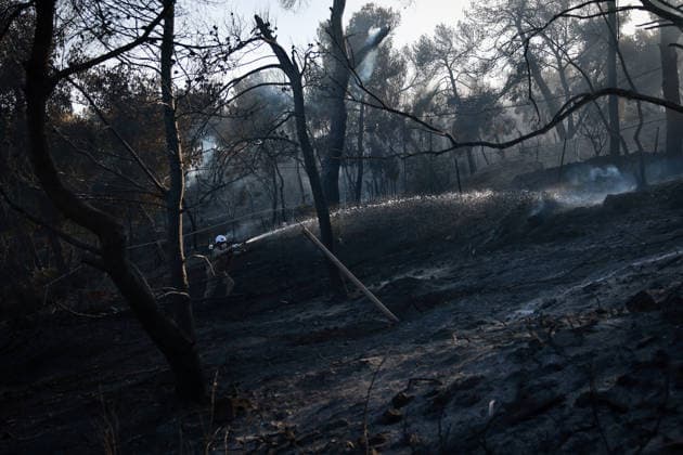 Wildfire kills 2 on Greek island of Salamina near Athens ATHENS, GREECE - AUGUST 16: Firefighters try to extinguish a wildfire which broke out on the island of Salamina, west of Athens, Greece, on August 16, 2026. Two people were found dead in a forested area of Peristeria on the Greek island of Salamina, where a wildfire broke out around noon Sunday, local media reported. Costas Baltas Anadolu Athens Greece. Editorial use only. Please get in touch for any other usage.  Copyright: x2026xAnadoluxCostasxBaltasx