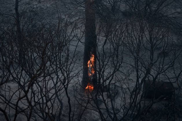 Wildfire kills 2 on Greek island of Salamina near Athens ATHENS, GREECE - AUGUST 16: A wildfire burns, on the island of Salamina, west of Athens, Greece, on August 16, 2026. Two people were found dead in a forested area of Peristeria on the Greek island of Salamina, where a wildfire broke out around noon Sunday, local media reported. Costas Baltas Anadolu Athens Greece. Editorial use only. Please get in touch for any other usage.  Copyright: x2026xAnadoluxCostasxBaltasx