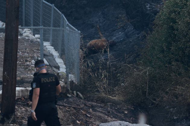 Wildfire kills 2 on Greek island of Salamina near Athens ATHENS, GREECE - AUGUST 16: (EDITOR S NOTE: Image depicts death) A police officer stands next to bodies, during a wildfire, on the island of Salamina, west of Athens, Greece, on August 16, 2026. Costas Baltas Anadolu Athens Greece. Editorial use only. Please get in touch for any other usage.  Copyright: x2026xAnadoluxCostasxBaltasx
