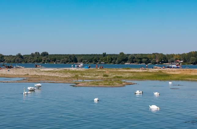 (260816) -- BELGRADE, Aug. 16, 2026 -- People cool off on the riverbed of the Danube River in Belgrade, Serbia, on Aug. 16, 2026. Riverbed was exposed as the water level of the Danube River approached record-low by severe drought. (Photo by Xinhua) SERBIA-BELGRADE-DANUBE RIVER-DROUGHT WangxWei 