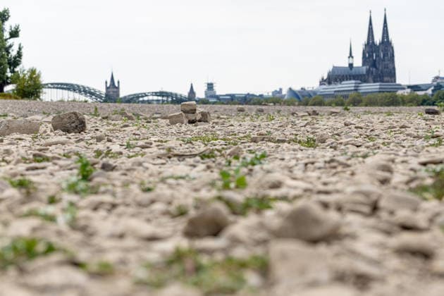 Historischer Niedrigwasser-Rekord am Rhein Freiliegendes Flussbett am Deutzer Rheinufer - 16.08.26 Blick vom Deutzer Rheinufer Richtung Kölner Dom auf das durch historisches Niedrigwasser freiliegende Flussbett des Rheins. Der Pegel Köln erreicht einen Tiefstand von 46 cm und unterbietet damit den bisherigen Rekord von 69 cm aus dem Jahr 2018 deutlich. Die Rheinschifffahrt ist durch das extrem niedrige Wasser praktisch zum Erliegen gekommen. Köln Deutz Nordrhein-Westfalen Deutschland *** Record-Low Water Level on the Rhine: Exposed Riverbed on the Deutz Bank of the Rhine, August 16, 2026. View from the Deutz bank of the Rhine toward Cologne Cathedral, showing the riverbed exposed by the record-low water level. The water level at Colo Copyright: xMarcxJohnx