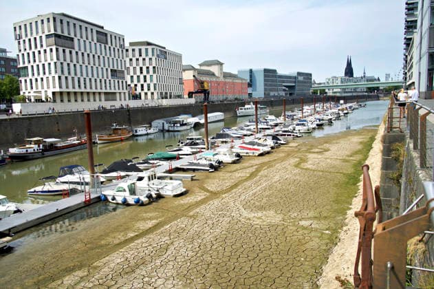 Der Rhein ist in Köln so niedrig wie noch nie. In der Nacht zu Sonntag fiel der Pegel auf nur 45 Zentimeter und damit deutlich unter den bisherigen Tiefststand. Für die Schifffahrt wird das zunehmend zum Problem. Köln, 16.08.2026 *** The Rhine in Cologne is at an all-time low. Overnight into Sunday, the water level dropped to just 45 centimeters, well below the previous record low. This is becoming an increasing problem for shipping. Cologne, August 16, 2026 Foto:xC.xAdolph xFuturexImagex niedrigwasser_6857